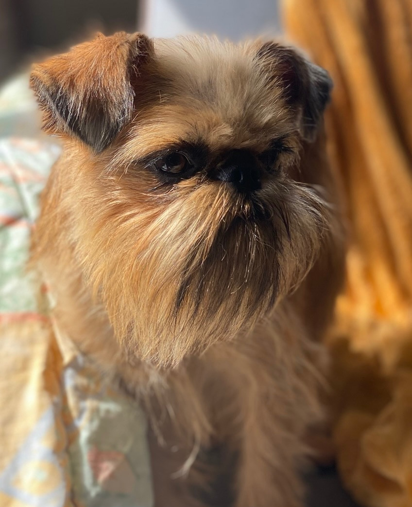 Mad decision z lotaha